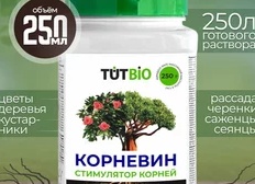 Замочила черенки розы из сада Корни Вылезли. Корневин Для Черенков