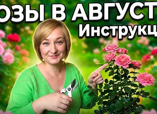 Черенкование роз летом: пошаговая инструкция для новичков и опытных садоводов