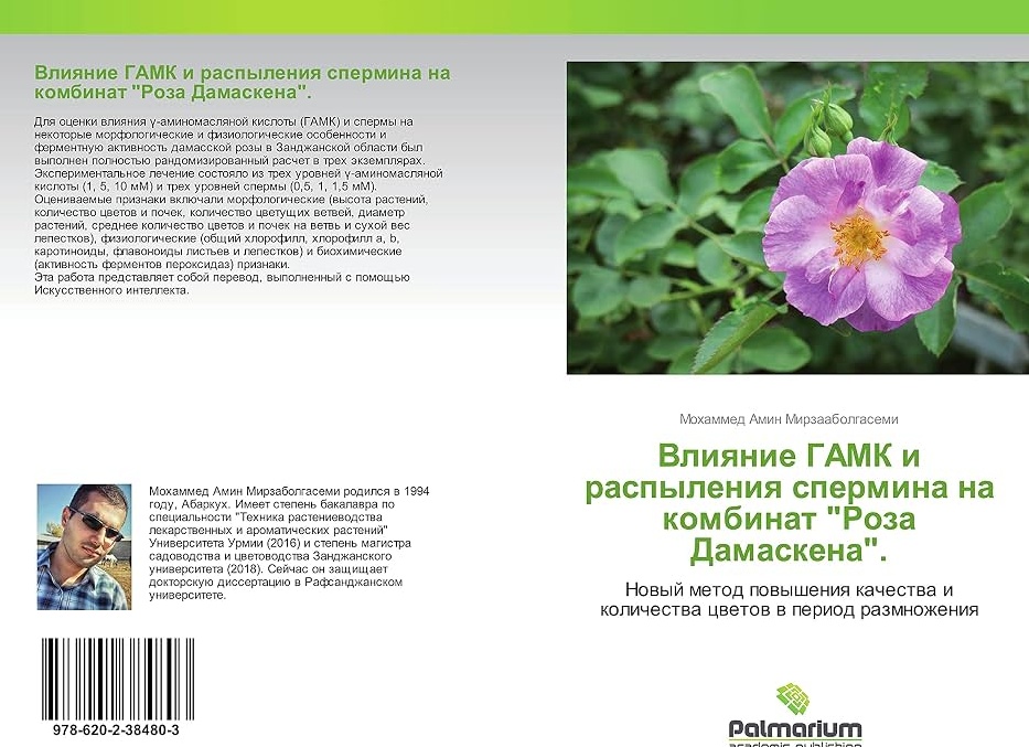 Размножение комнатных цветов: 5 растений для 50+ деток
