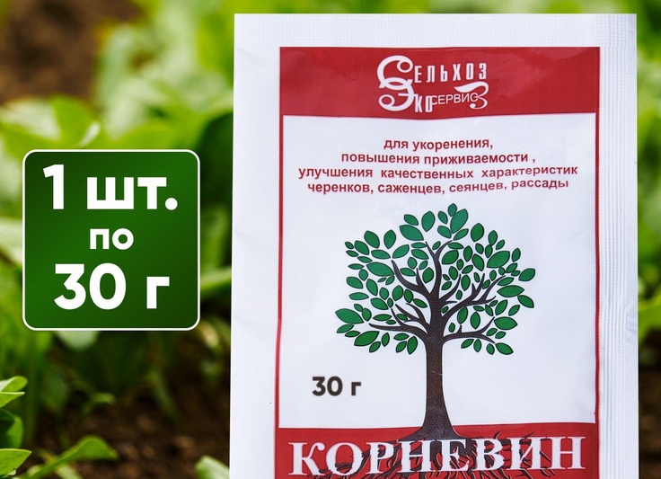 Как использовать стимулятор роста корней «Корневин»?