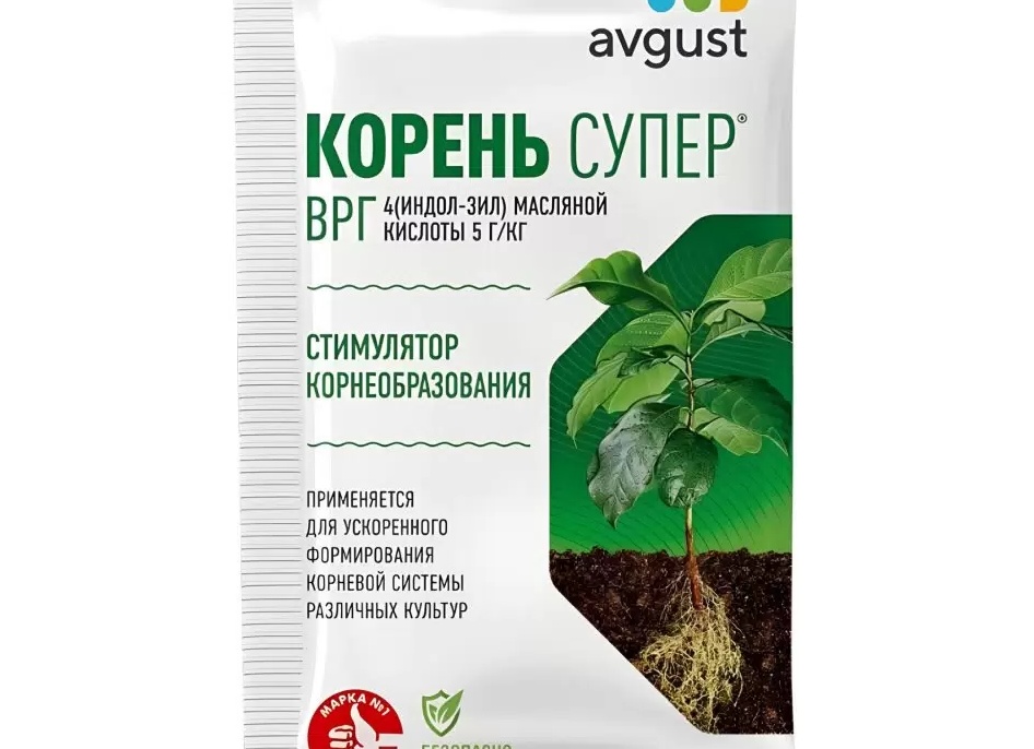 Корень Супер AVGUST: как повысить приживаемость саженцев и черенков
