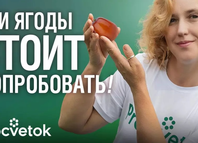 Как вырастить на своём участке самые популярные цветы