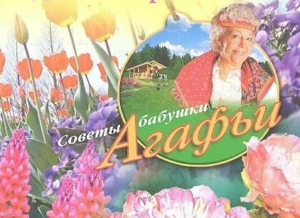 Вейгела — кустарник дивной красоты
