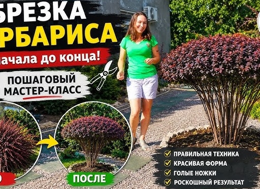 От черенка до роскошного растения: мастер-класс по выращиванию растений в домашних условиях